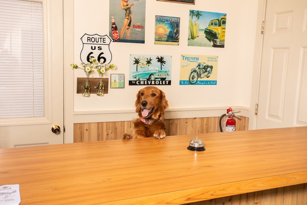 Steinhatchee River Inn - photo 5