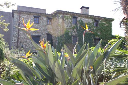 Villa Soli — 4-Star Luxury Hotel in Santa Oliva, Spain
