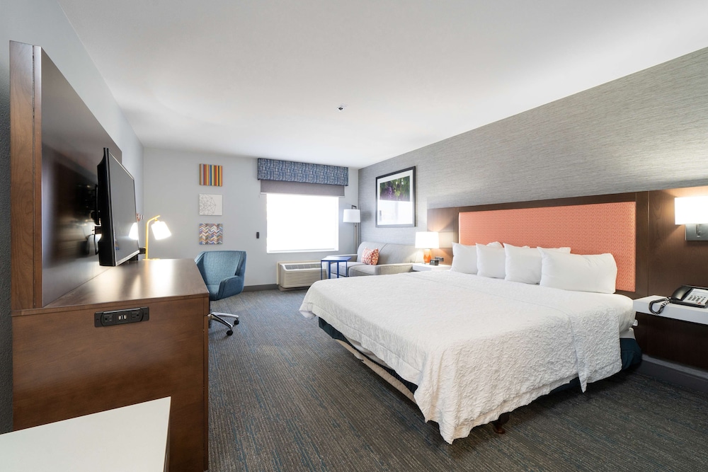 Hampton Inn & Suites Modesto Salida - photo 34