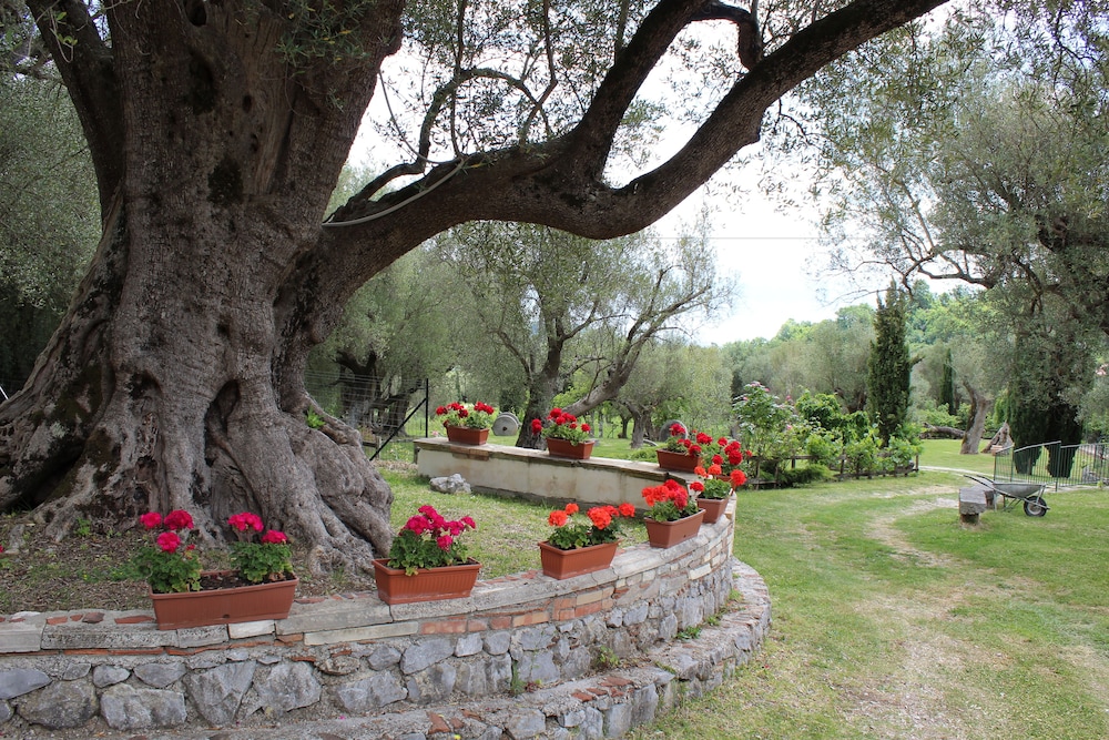 Pie' d'Ulivo — hotel in San Giovanni A Piro