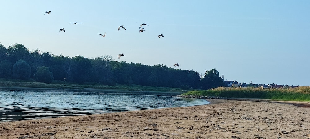 Land view from property