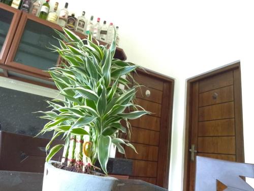 Harambathenna Resort Anuradhapura — Anuradhapura — photo 5