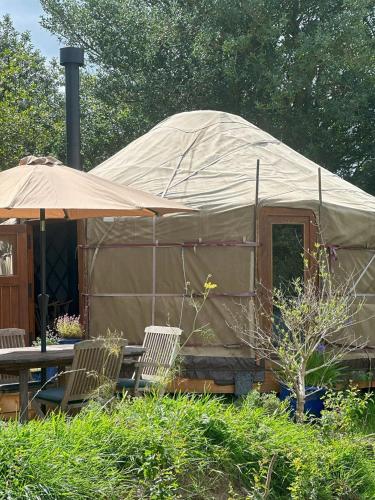 The Yurt @ Penbanc Pasture in Cardigan, United Kingdom