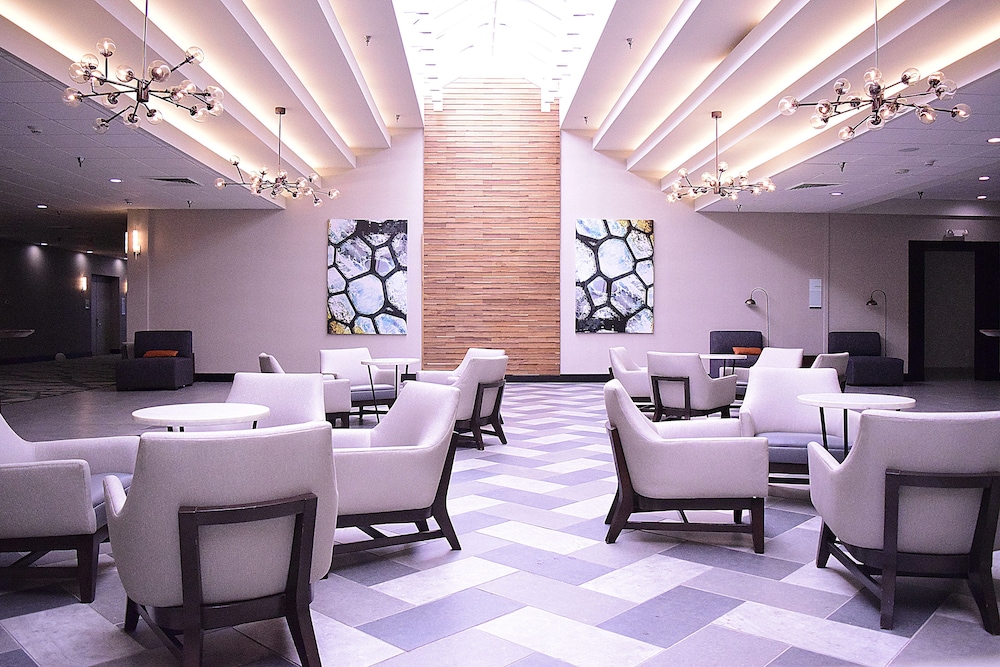 Holiday Inn Alexandria Downtown by IHG - photo 24