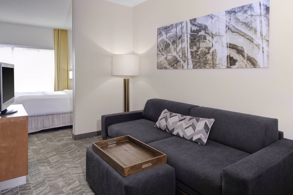 Springhill Suites Memphis East Galleria - photo 5
