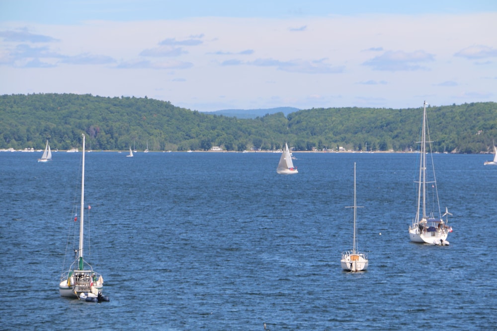 Lakeshore Vermont - photo 157