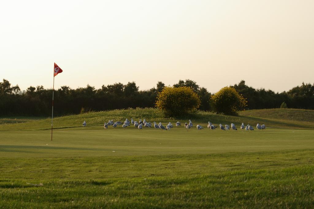 Le Chat Botté in La Rochelle, France