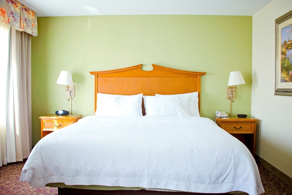 Hampton Inn and Suites College Station - photo 28