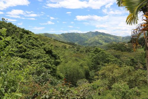 Finca San Javier Great Farm With Horses And Pool — hotel in Sasaima