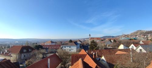 Adler Panzio — Budaors — photo 2
