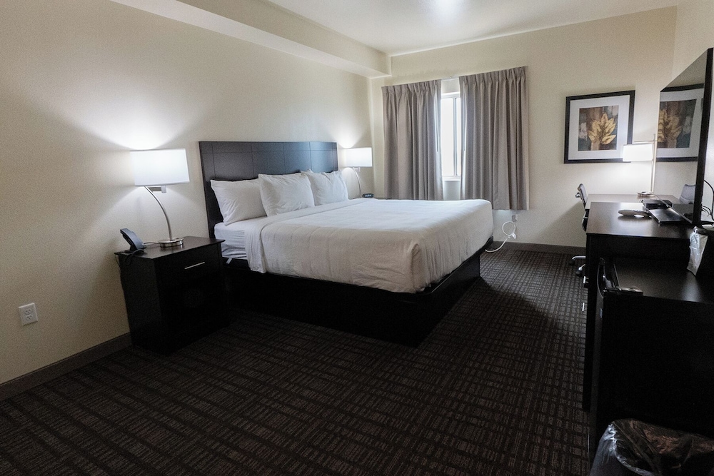 Cobblestone Inn & Suites Sheldon - photo 13
