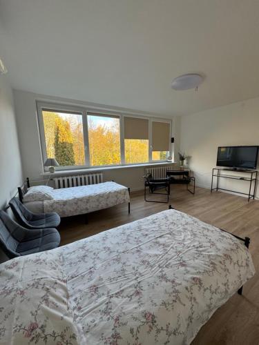 Plento G Apartamentai Biržuose — Birzai — photo 4
