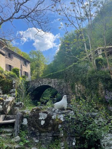 Mulino Morandi - carbon neutral hotel in Unknown City