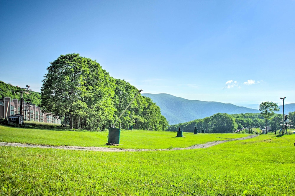 Wintergreen Resort Studio w Deck & Ski out Access - photo 2