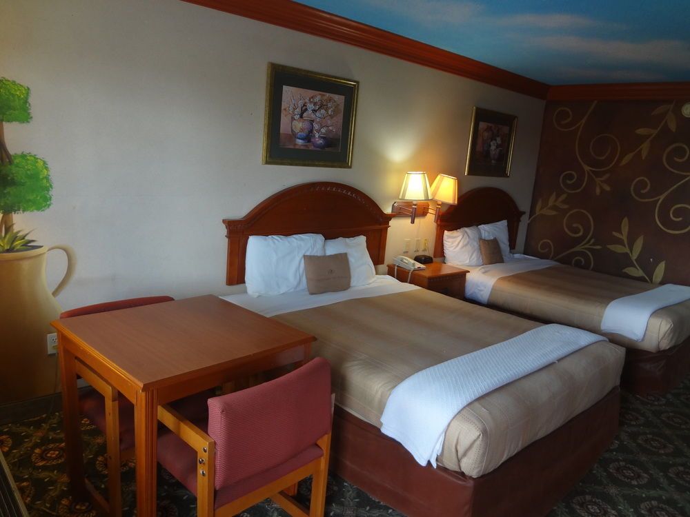 Nola Inn and Suites - photo 9