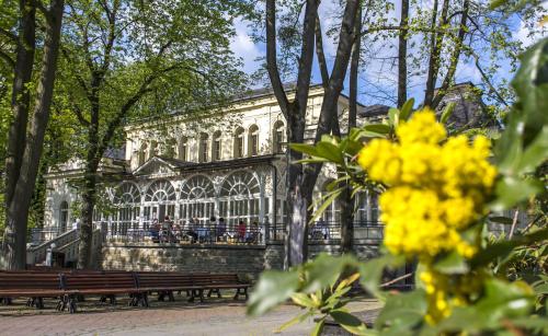 Historické Lázně Darkov — hotel in Karvina