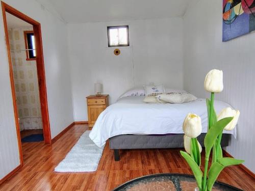 alojamiento Fernanda in Panguipulli, Chile