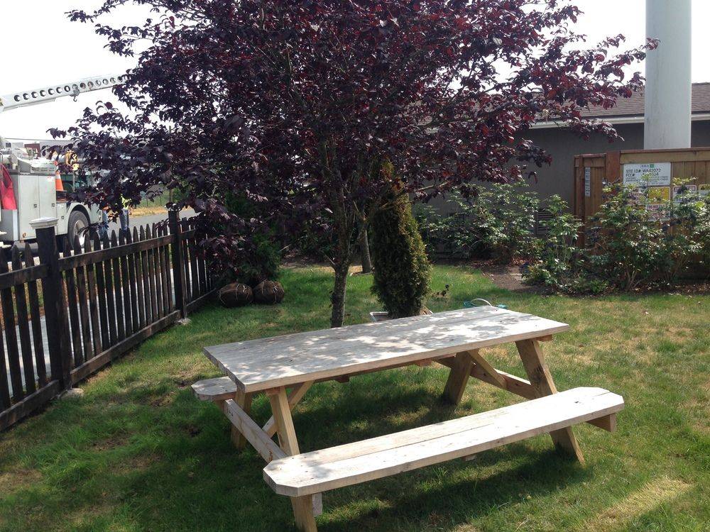Orca Inn - photo 18