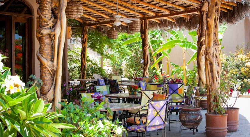 Serendipity — Todos Santos — photo 4