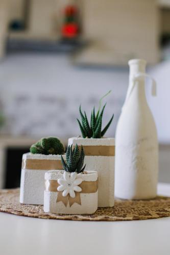 dimora di generosa ULIVO in Monopoli, Italy