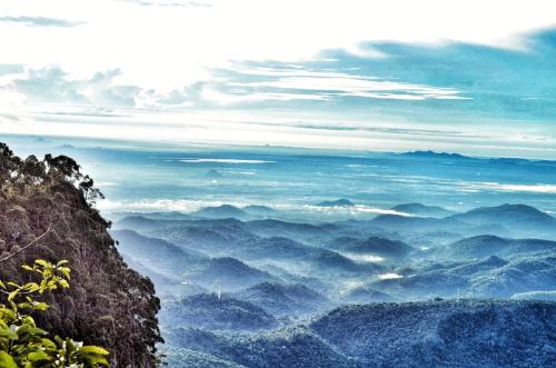 White Monkey Dias Rest in Haputale, Sri Lanka