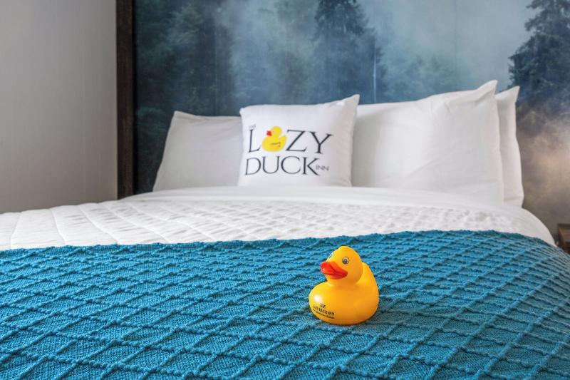 The Lazy Duck Inn - photo 40