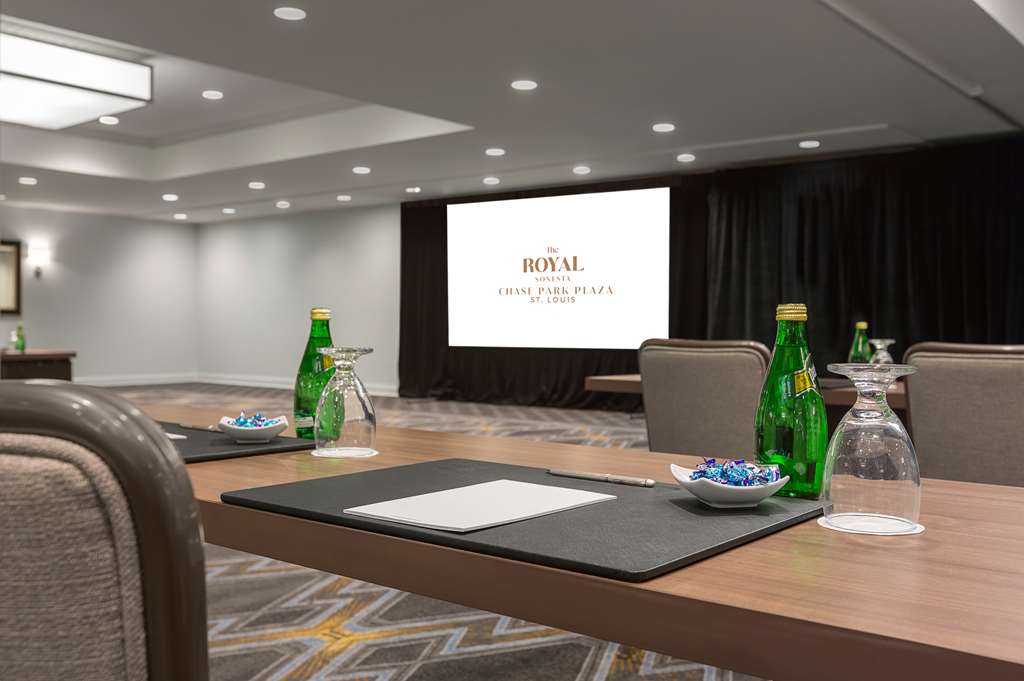 The Royal Sonesta Chase Park Plaza St. Louis - photo 55