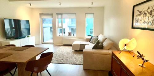 Modern Luxury Apartment Downtown