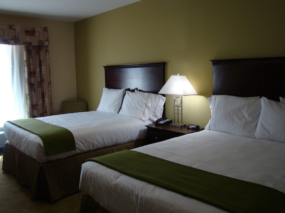 Holiday Inn Express Hotel & Suites Brownfield by IHG - photo 19