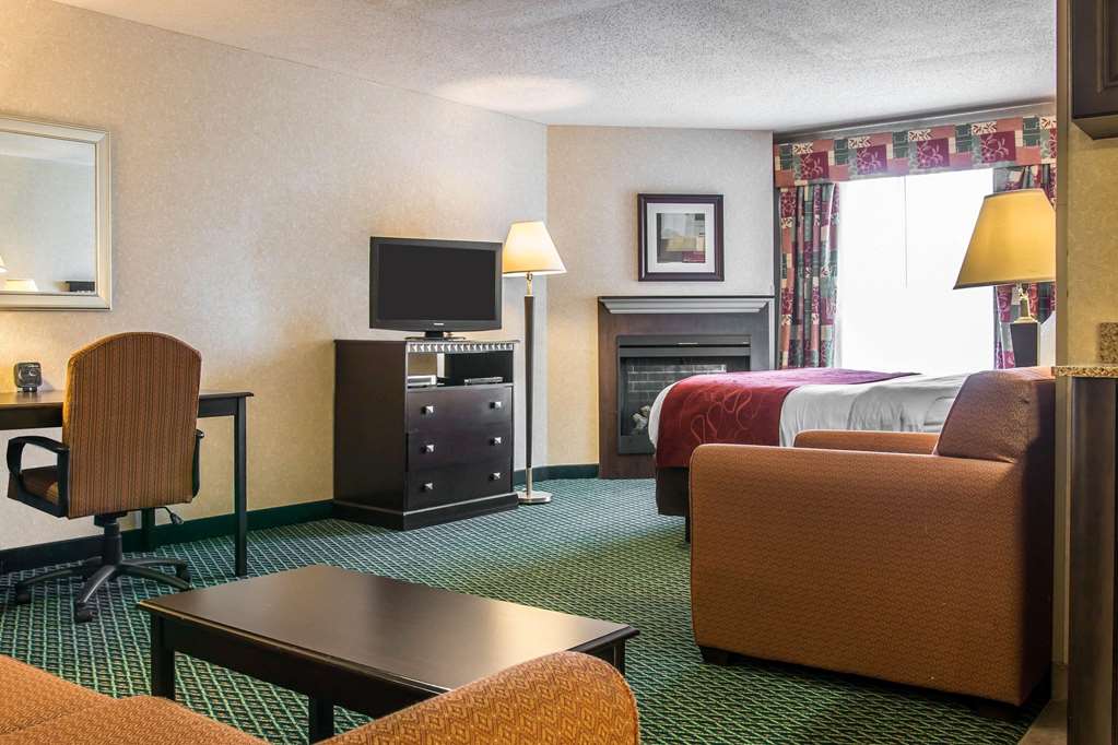 Comfort Suites Canton Detroit - photo 18
