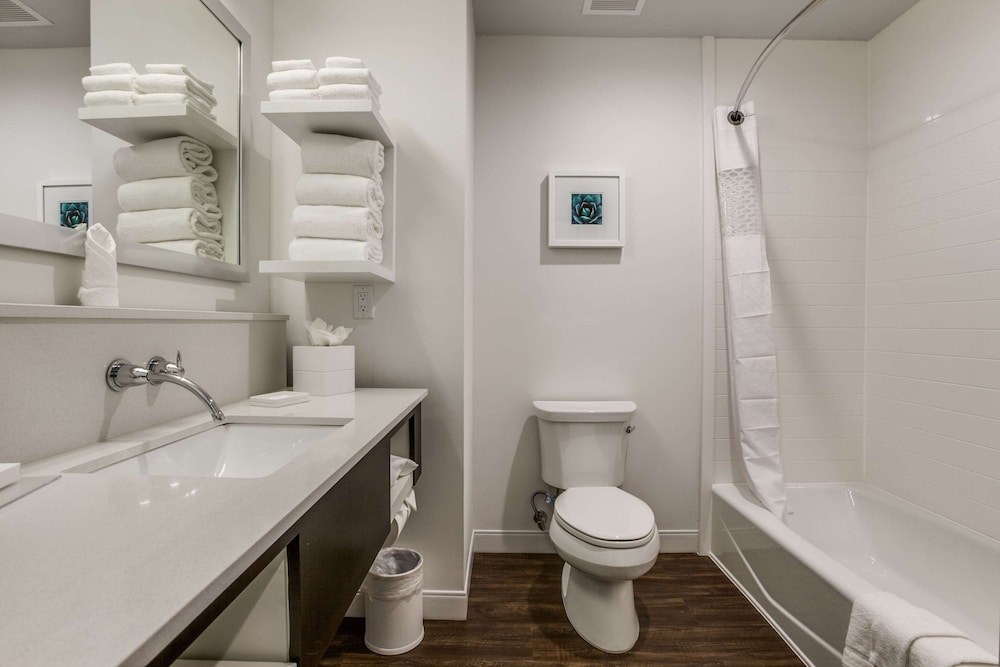 Hampton Inn & Suites North Dallas Central Expy - photo 21