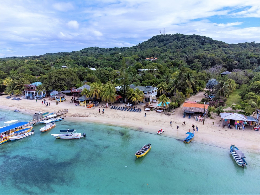 Coconut Tree West Bay in Sandy Bay, Honduras