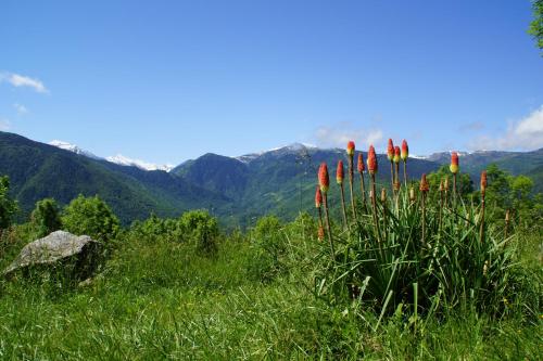 Chalets les gentianes - last minute hotel in Unknown City