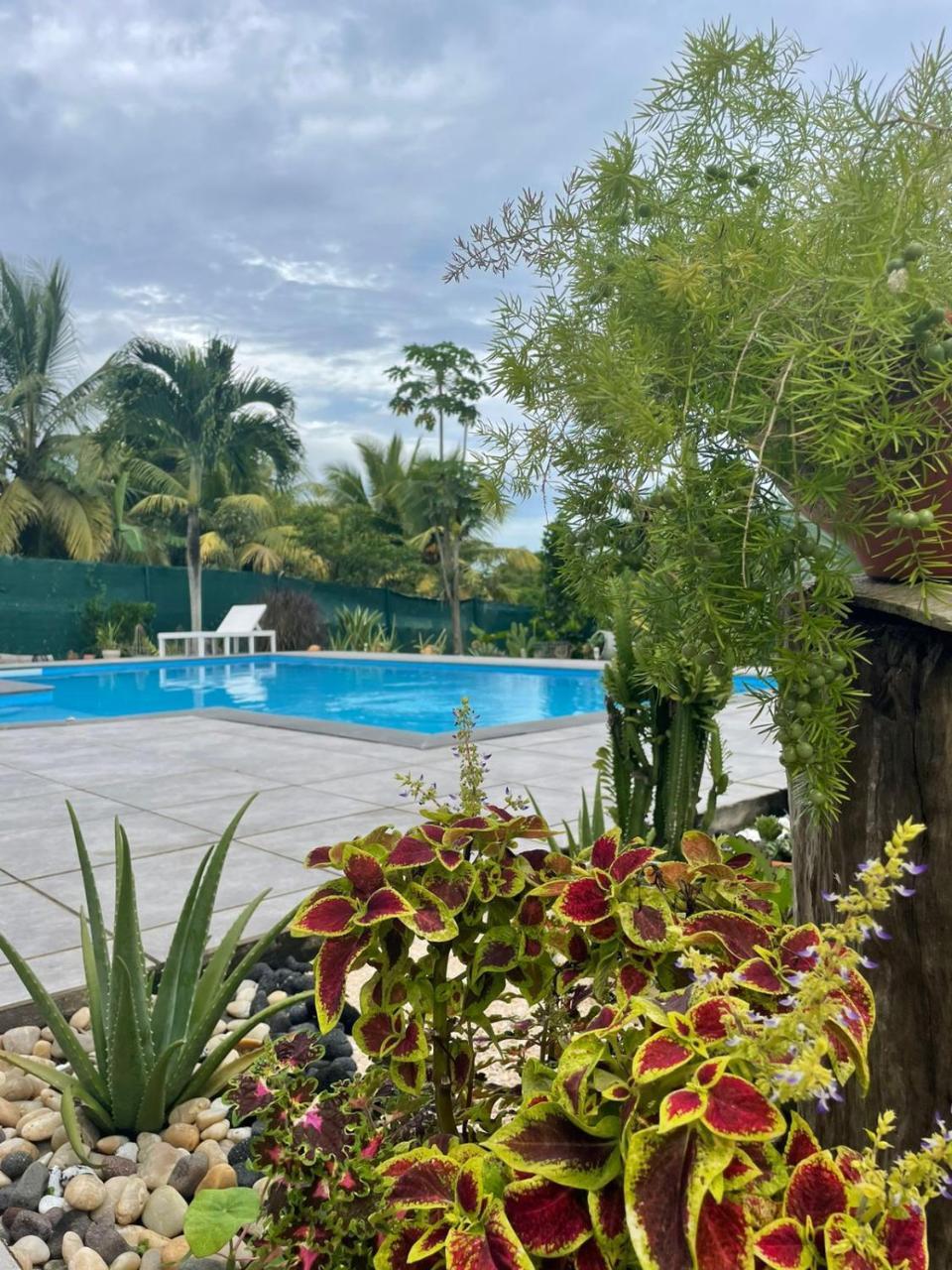 Le Colibris du Lamentin — 4-Star Luxury Hotel in Lamentin, Guadeloupe