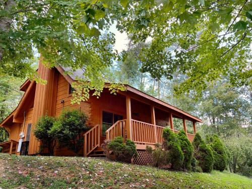 Smoky Mountain Rain - last minute hotel in Sevierville