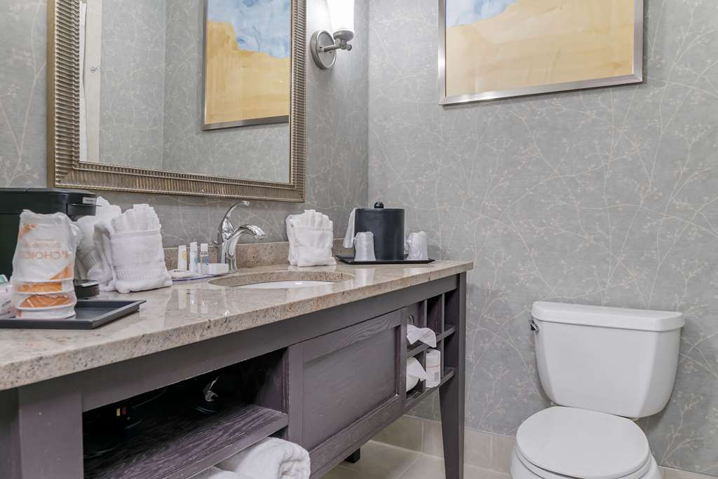 Comfort Inn Plainwell - photo 20