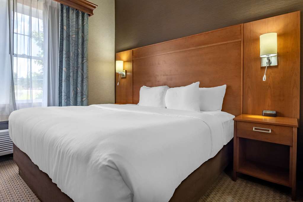 Comfort Suites Hotel and Conference Center - photo 10