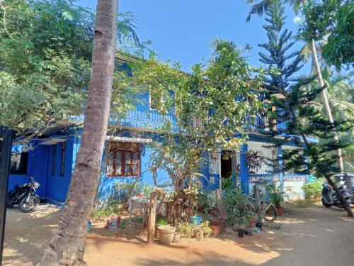 Seashell in Madgaon, India