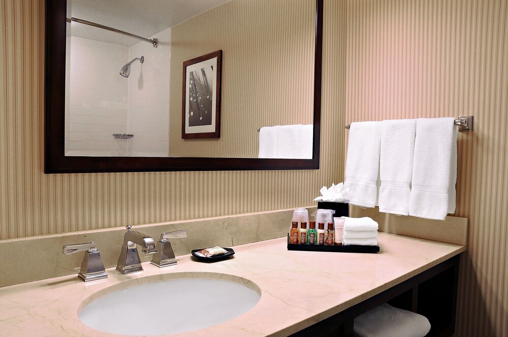 Sheraton Columbia Town Center Hotel - photo 6