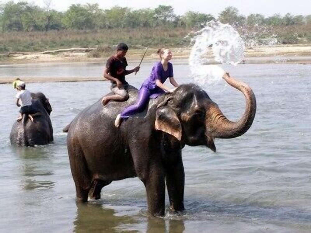 Chitwan Forest Resort in Unknown City, Nepal