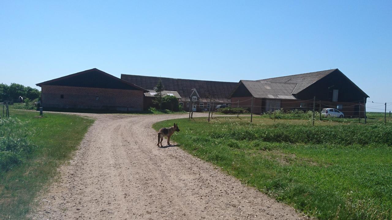 Ferienzimmervermietung Reitferien in Skaerbaek, Denmark