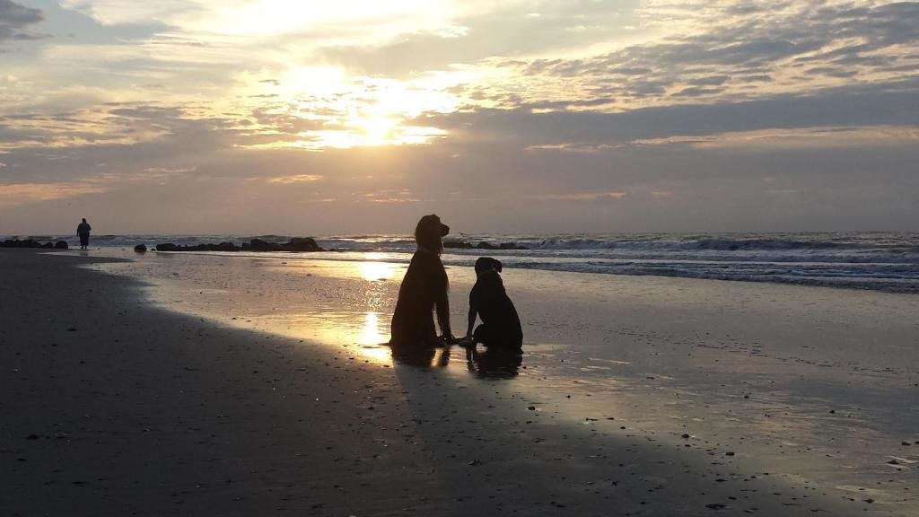 Folly Vacation 204 Getaway perfect place to relax & unwind in Folly Beach, United States