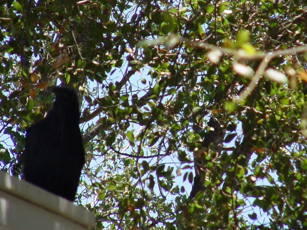 Apple Blossom Inn - photo 55