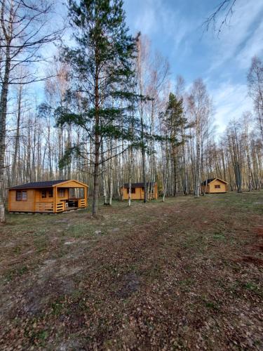 Kempings Mežvēji in Jaunciems, Latvia