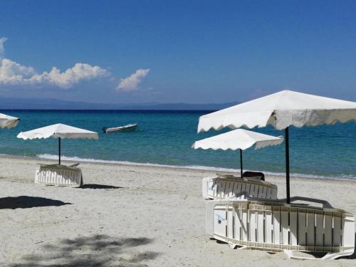Ariadni Villas luxury houses — 4-Star Luxury Hotel in Kassandreia, Greece