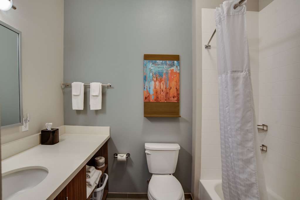 MainStay Suites Carlisle Harrisburg - photo 9