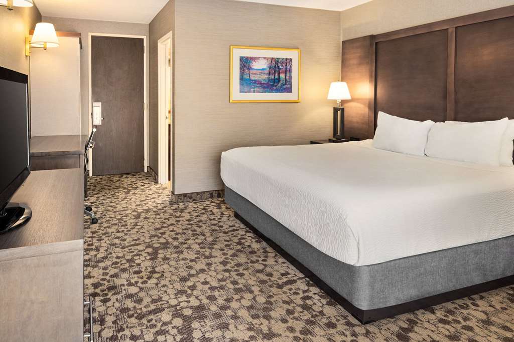 Ramada Plaza by Wyndham Portland - photo 29