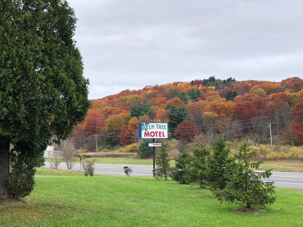 Elm Tree Motel - photo 19