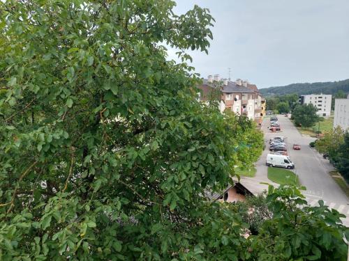 Apartman Buba — 4-Star Luxury Hotel in Krapinske Toplice, Croatia