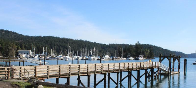 Kingfish at West Sound - photo 4